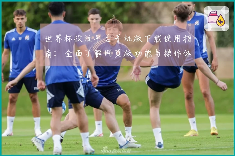 世界杯投注平台手机版下载使用指南：全面了解网页版功能与操作体验