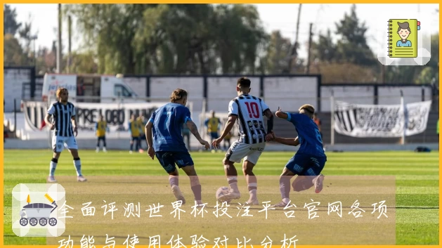 全面评测世界杯投注平台官网各项功能与使用体验对比分析