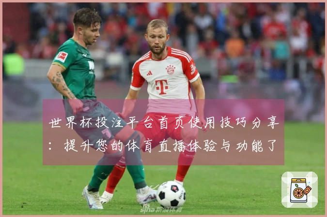 世界杯投注平台首页使用技巧分享：提升您的体育直播体验与功能了解