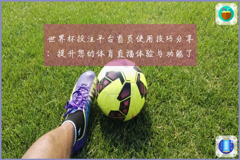 世界杯投注平台首页使用技巧分享：提升您的体育直播体验与功能了解