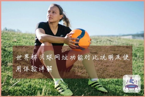 世界杯买球网址功能对比说明及使用体验详解