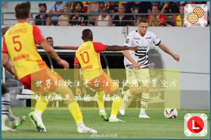 世界杯投注平台注册使用场景全方位说明及功能介绍指南